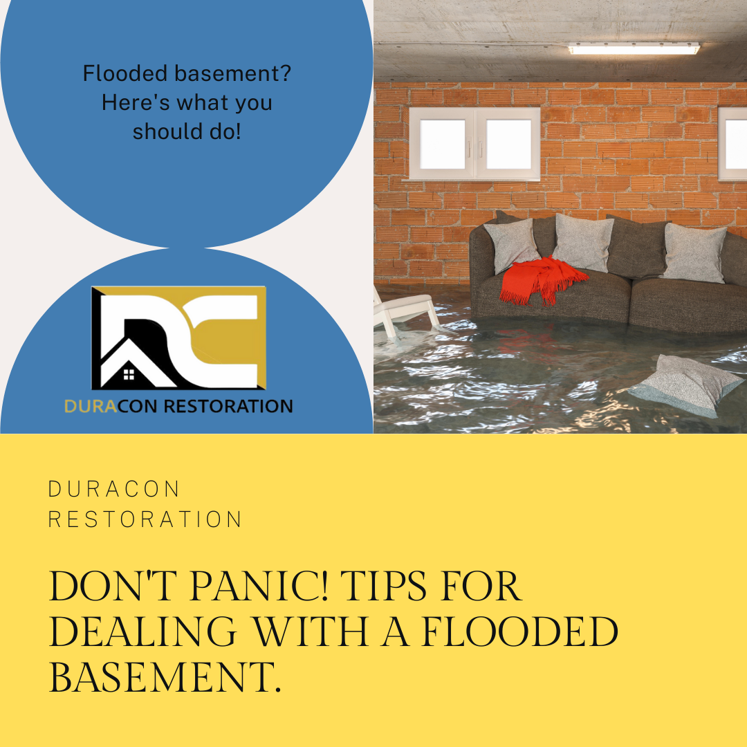 Dealing with Basement Water? Here’s What you Need to Know!